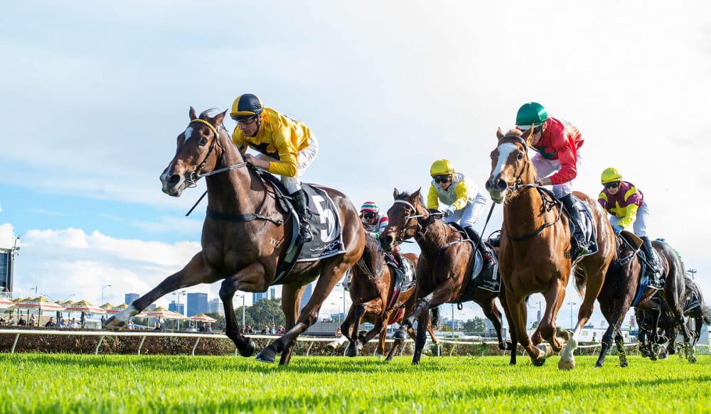 Belmont on indefinite hold as turf, geoscience experts called in to investigate track mystery