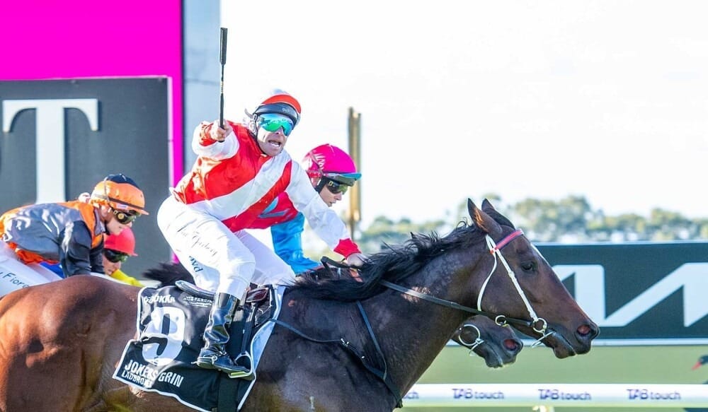 Straight Shorts - Thursday May 1 - Quokka in black-type move, I Am Invincible colt to stand in Victoria, jumps double for Duke Of Bedford, Maher trains Warrnambool Cup winner, Flutter continues expansion