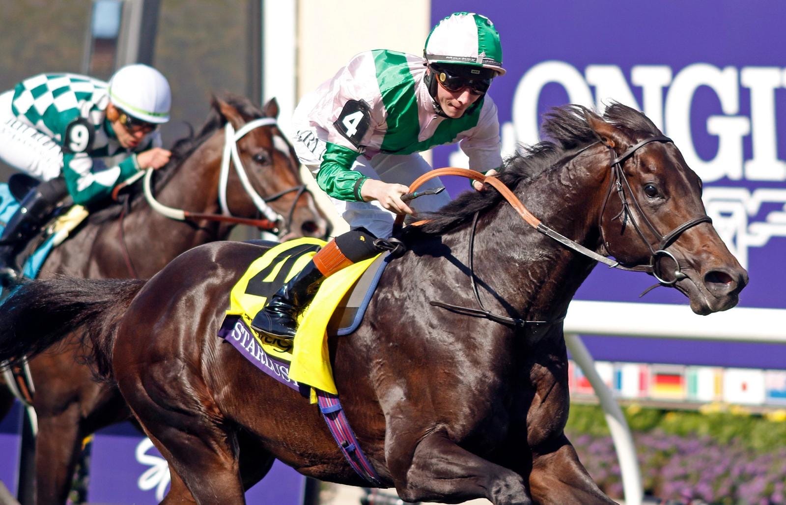 Starlust a 'game-changer' as Riverstone launches into stallion game