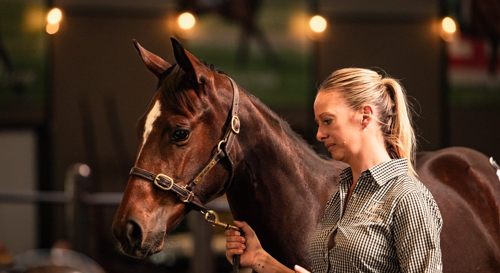 Crabtree stays the distance with filly, paying a record Australian Weanling Sale price