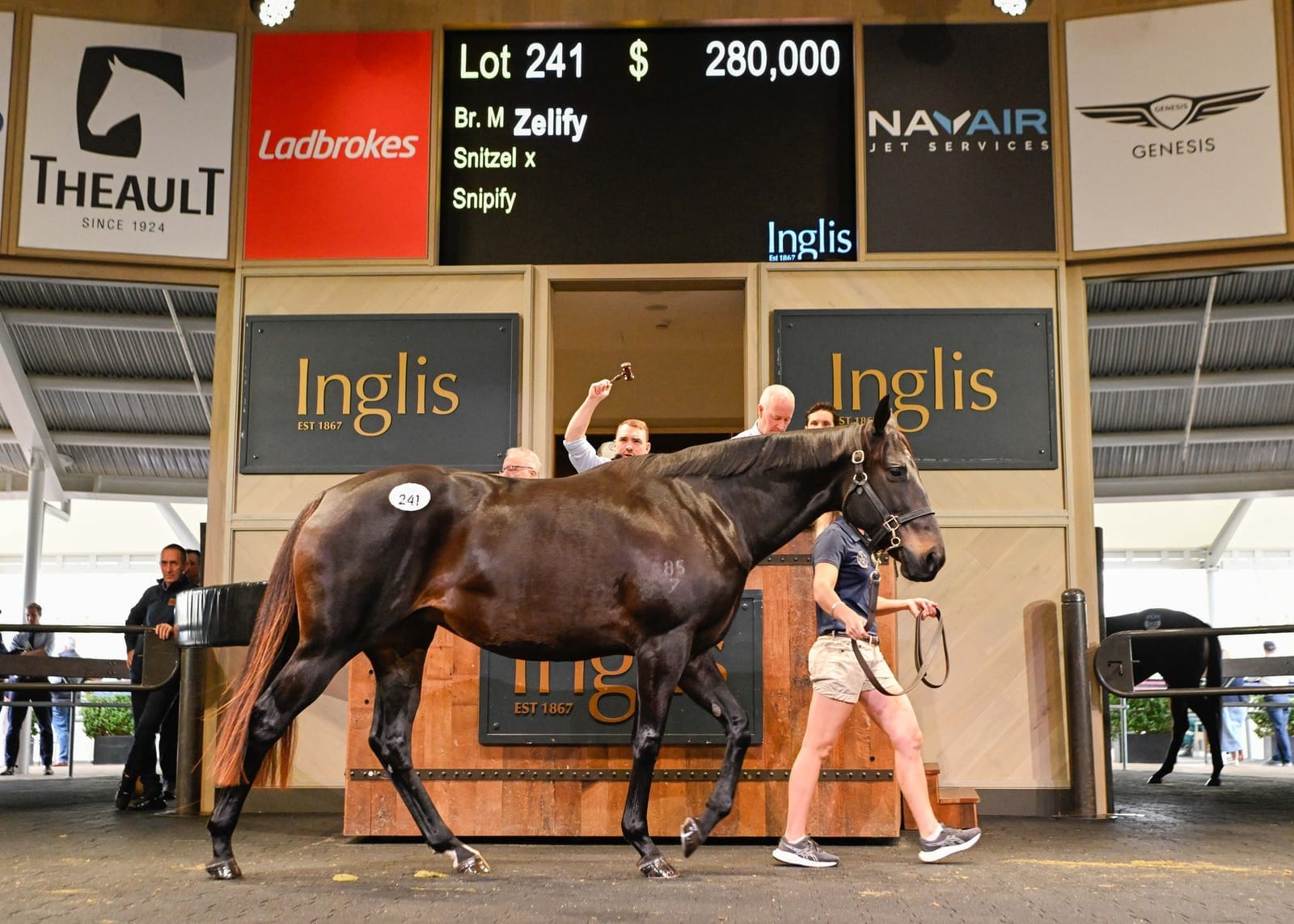 Straight Shorts - Friday May 9 - Snitzel mare sells for $280,000, Extreme Choice share up for auction, Tabcorp surges on ASX, NSW trainer suspended over welfare
