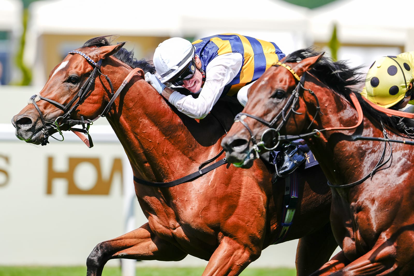 Queen Anne glory for OTI, Zahra