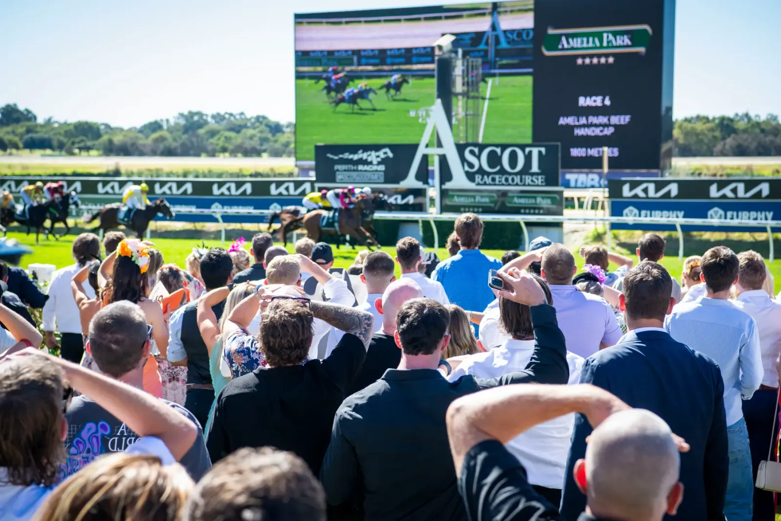 Straight Shorts - Wednesday June 25 - WA countdown on for Racing.com coverage, Bella Nipotina sibling a winner, weanlings to showcase fresh NZ sires, Randwick 2YO double for Newgate roster