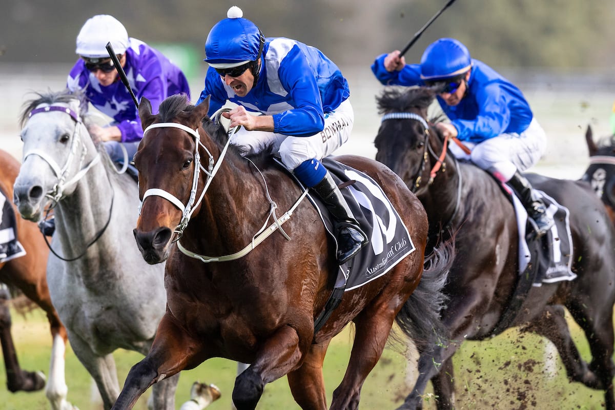 Straight Shorts - Tuesday June 24 - 'Legend' status for Winx and Black Caviar, protest decides Wyong 2YO race, high hopes for Ancient Spirit juvenile,  ACMA targets influencers