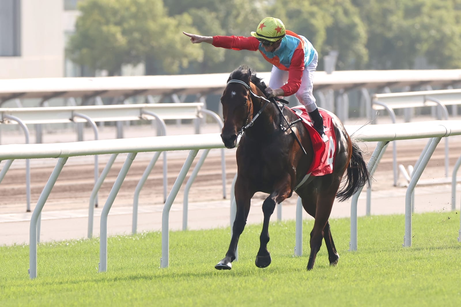 Straight Shorts - Thursday June 5 - Ka Ying Rising camp teams up with HKJC for Everest, key ATC appointment,  SA expected to meet betting tax budget, Ready2Race entries open
