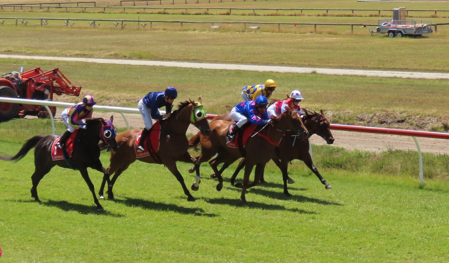 Island of uncertainty - Tasracing commits to King Island but battle for horse numbers persists