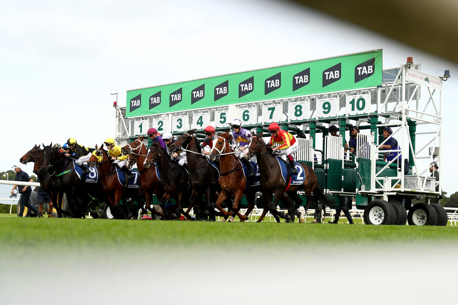 NSW Trainers Association in clear over charity lunch complaint