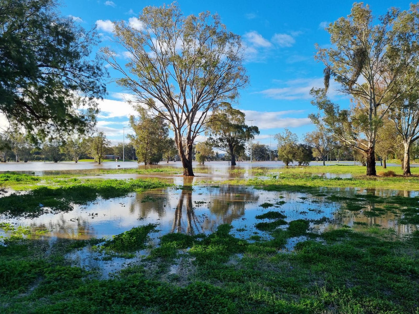 Washout - NSW rain impacts race meetings, barrier trials