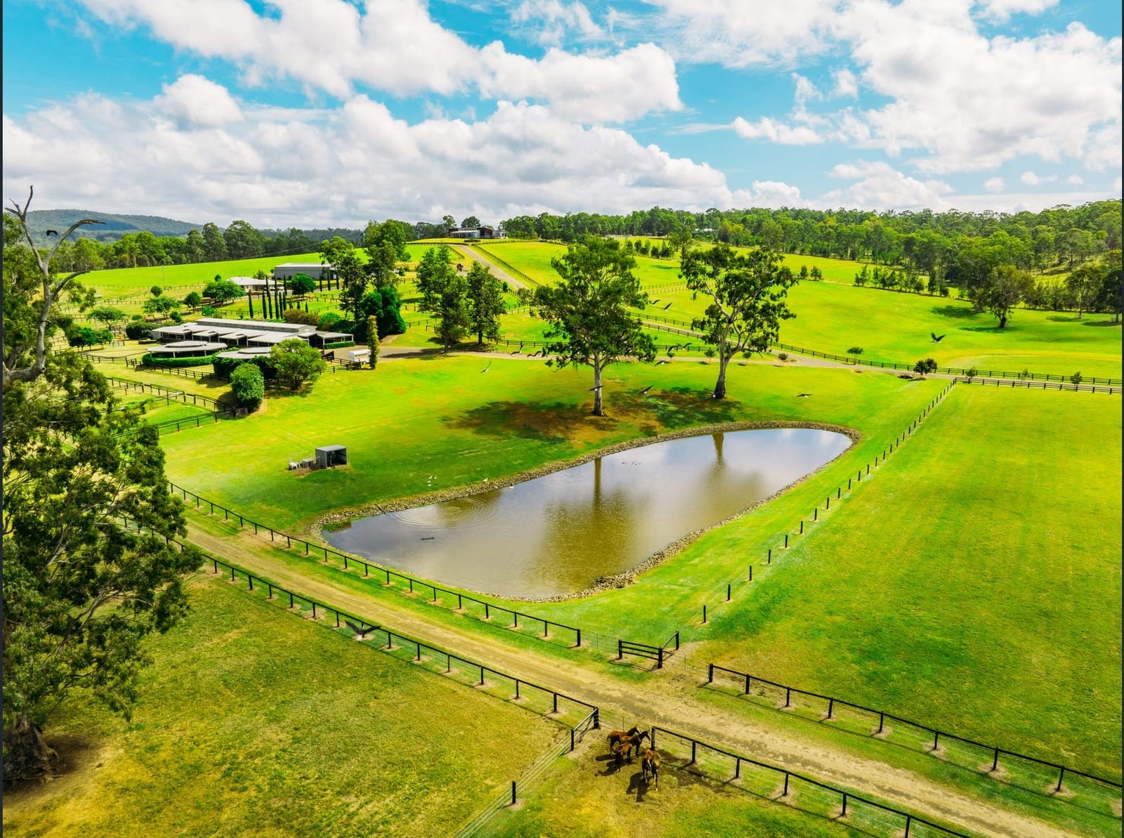 In his Element - new owner for farm which produced Hong Kong star Golden Sixty