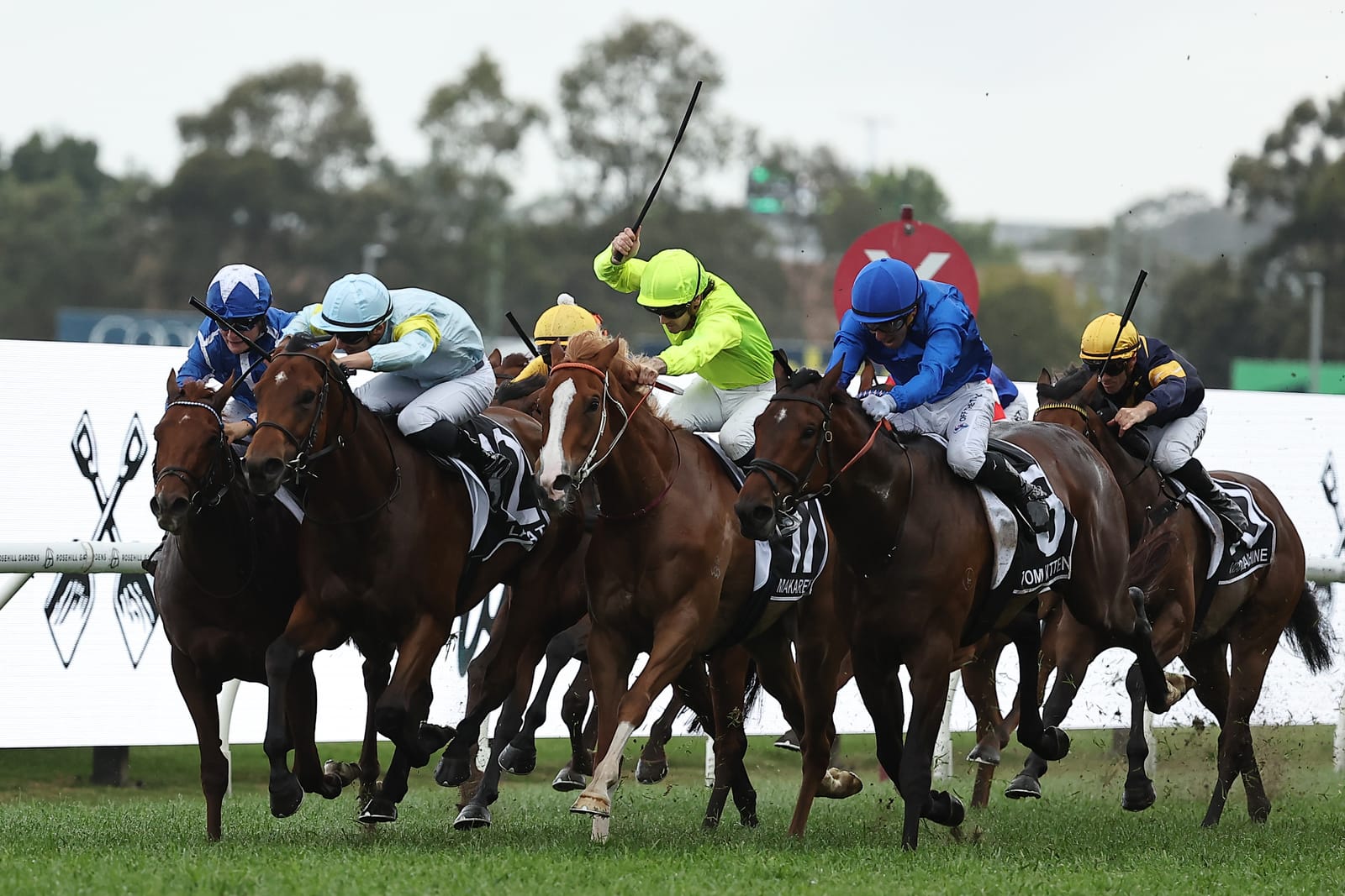 Golden Eagle flies east - Sydney’s signature $10 million race to be run at Randwick