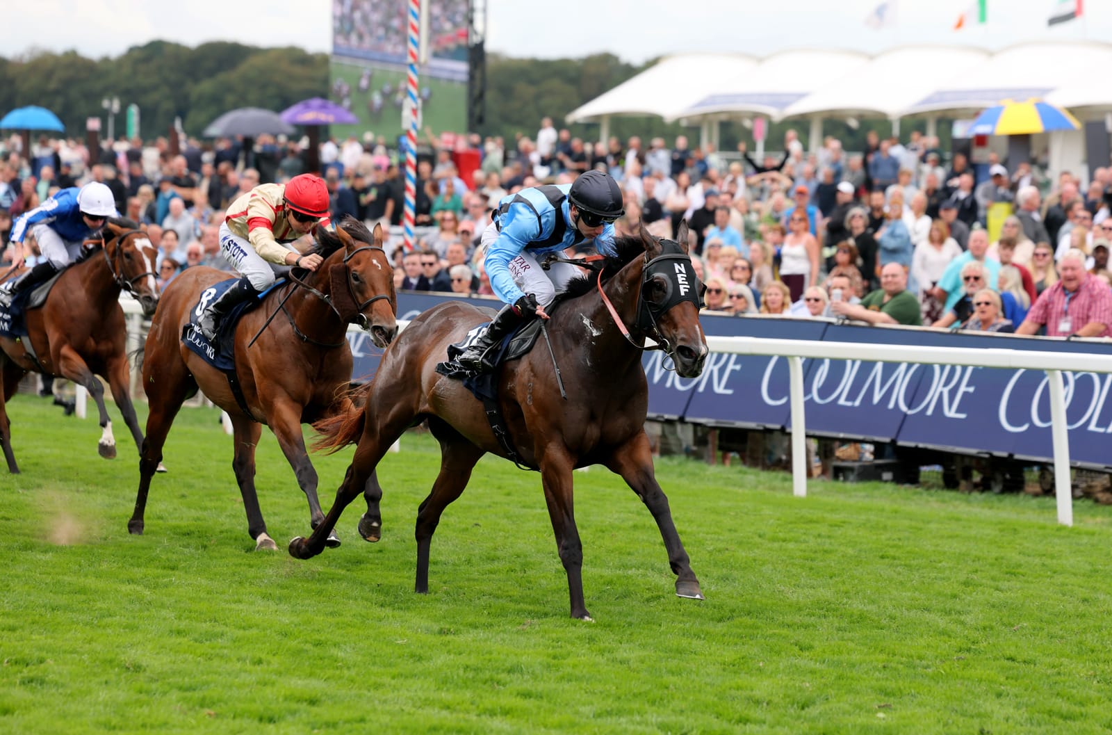 'It's an incredible buzz to be validated' - Asfoora bounces back in Nunthorpe