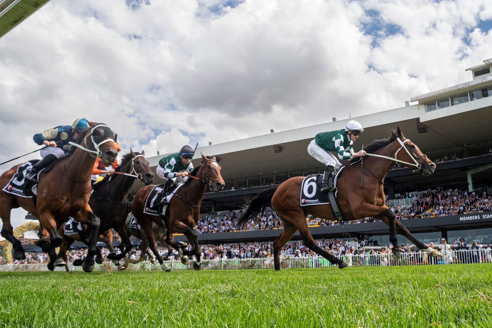 Via Sistina crowned Australian Racehorse of the Year