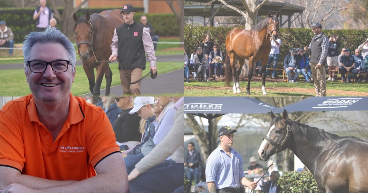 Rowe On Monday - Stallion star power and Hunter hospitality, more success for Mongolian owner