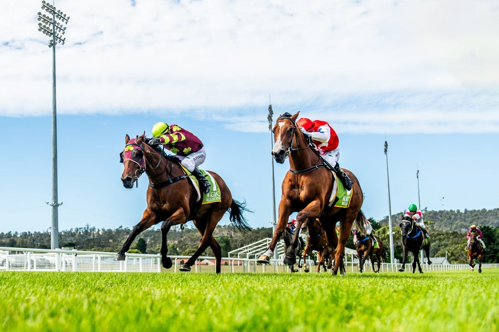 ‘More viability, more sustainability’ - $1 million TasBred boost heads incentives designed to reinvigorate Tassie industry