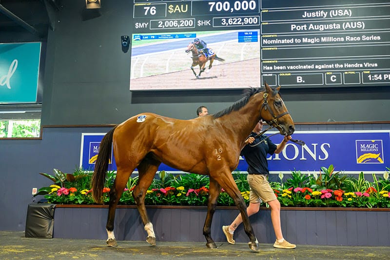 ‘Sire power like never before’ - Magic Millions releases catalogue for Gold Coast Horses in Training Sale
