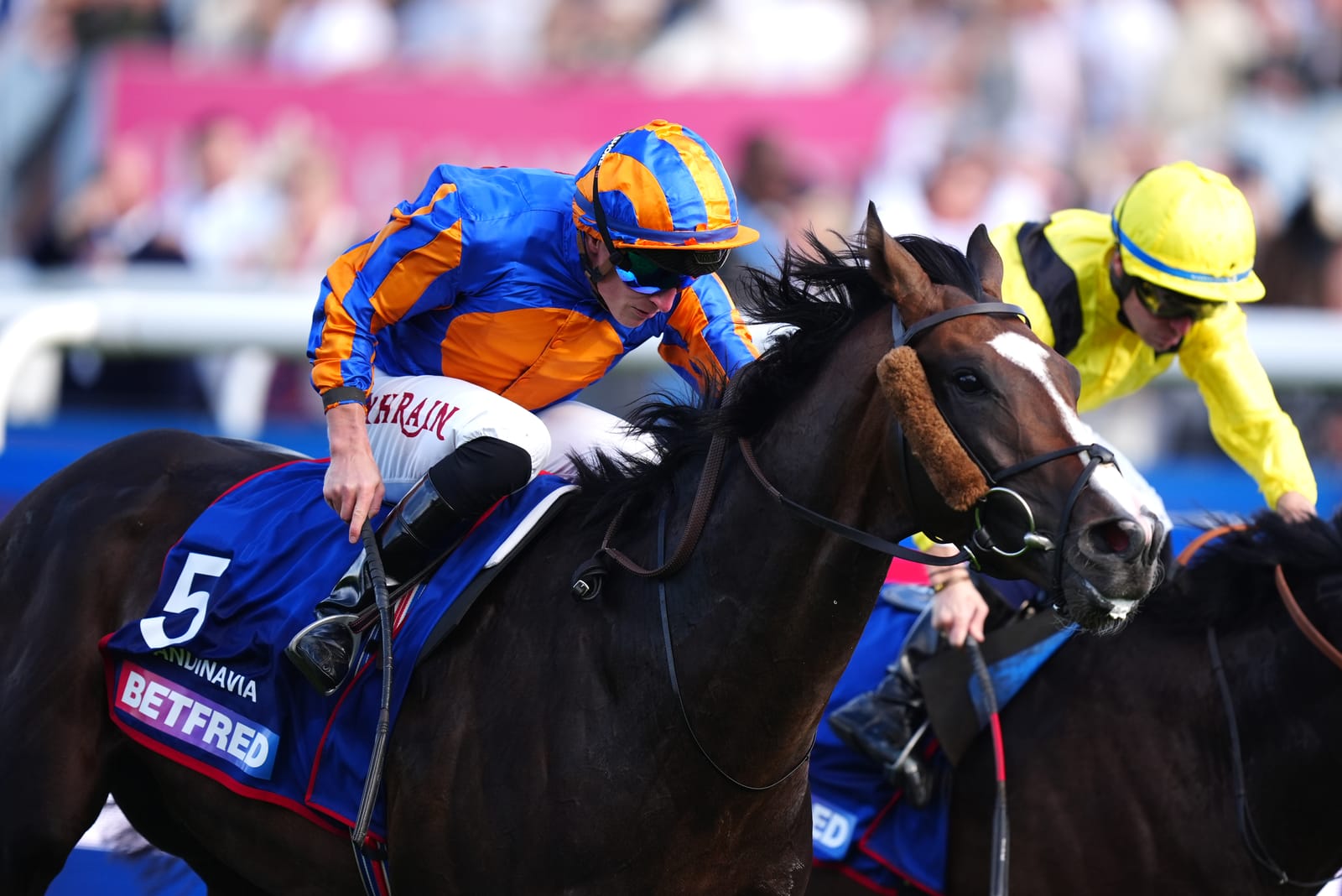 Scandinavia to miss Melbourne Cup as O’Brien puts St Leger winner aside until 2026