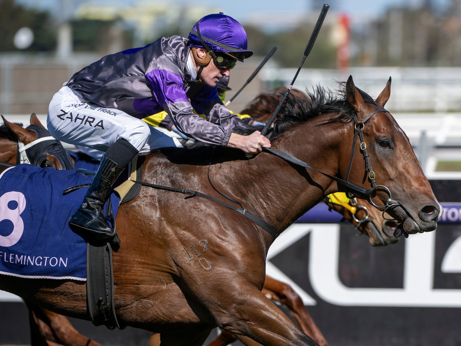 Caulfield Guineas winner’s home in welfare spotlight