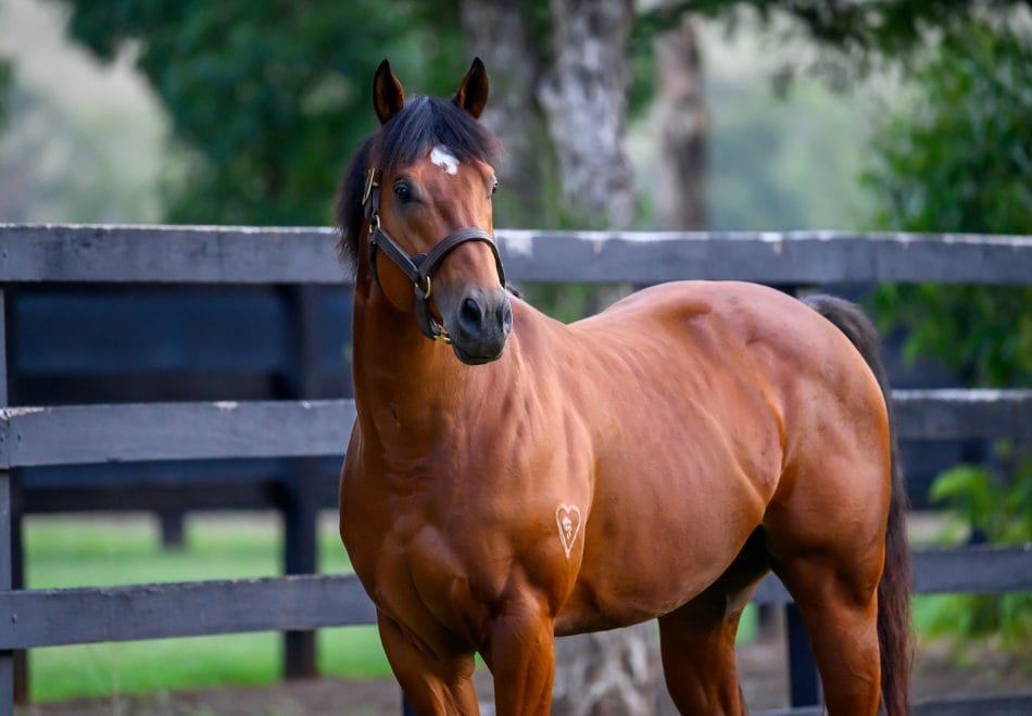 Home Affairs leads numbers of named juveniles