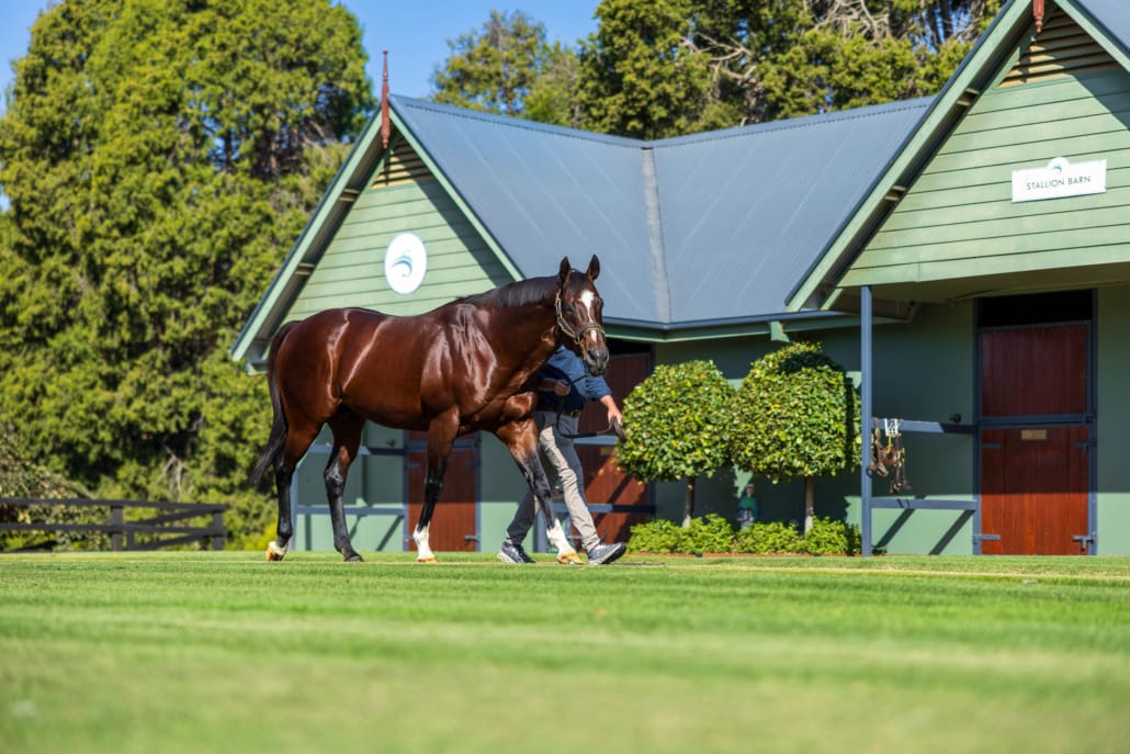 Toronado withdrawn from service