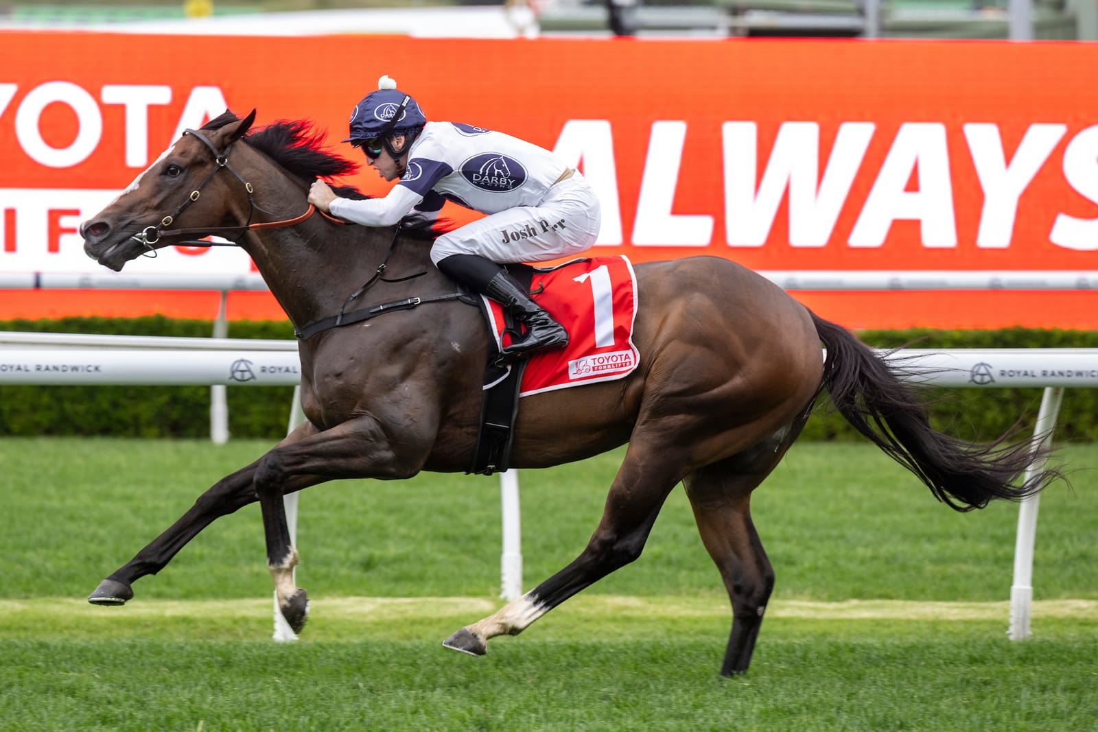 Overpass back in favour - Field banks on Baker’s sprinter for third shot at Everest