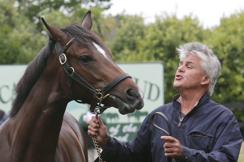 Kiwis Rutherford and Ritchie enjoying the ride with Autumn Boy on way to potential spring Group 1