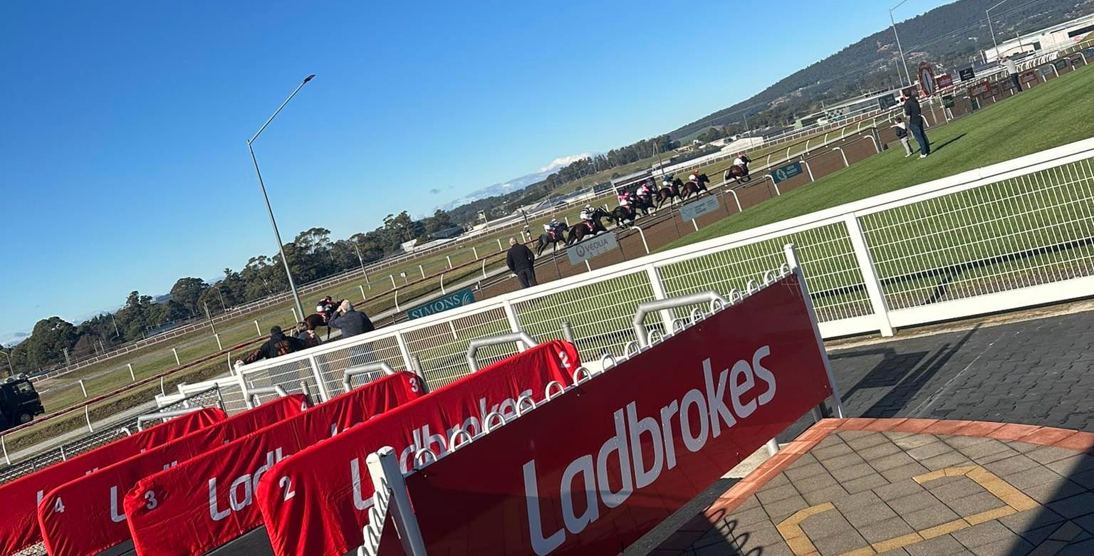 More stewarding troubles in Tasmanian racing