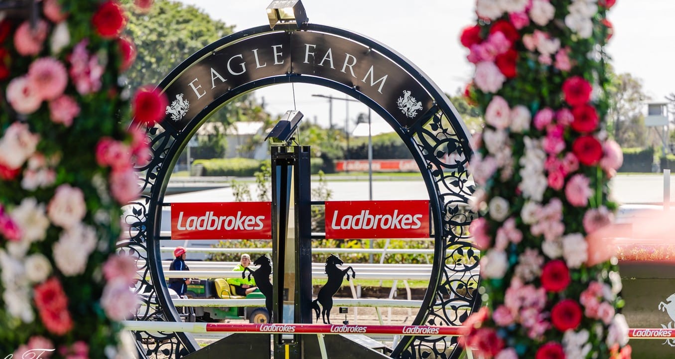 Three BRC directors to face re-election as club reports boost in profit