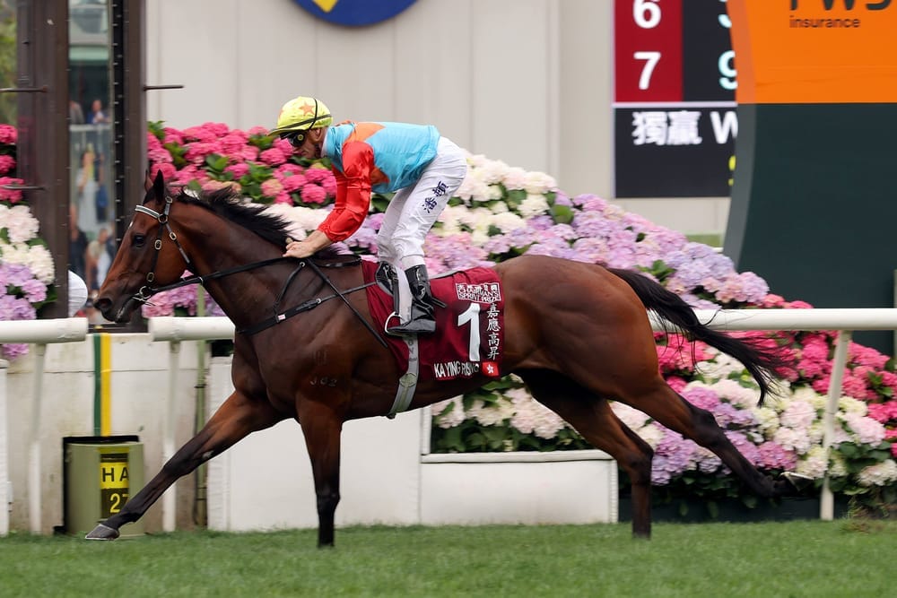 Trial and trepidation - Ka Ying Rising’s Everest dress rehearsal pivotal for Hayes