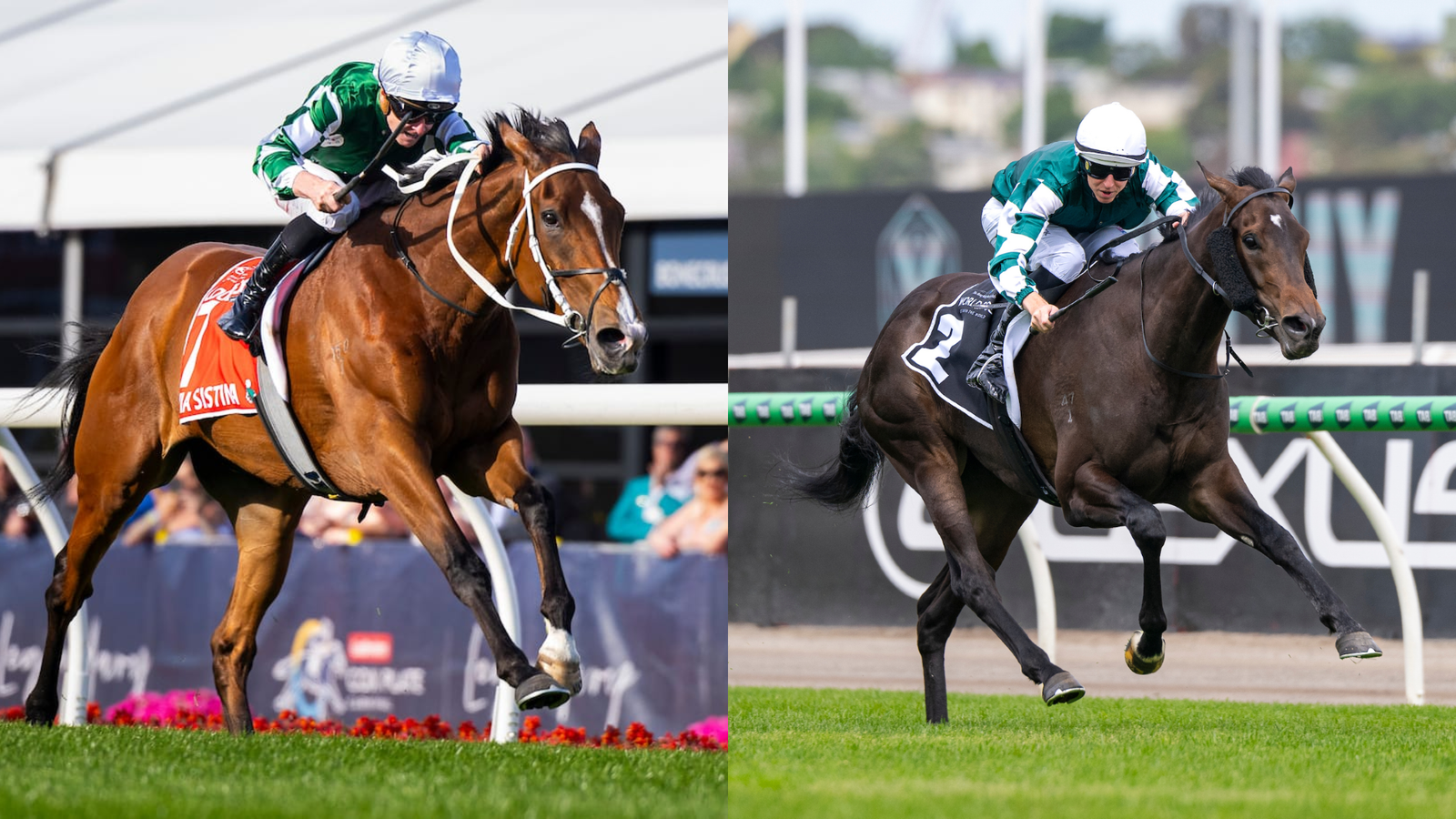 Separate paths, same destination for Yulong’s Cox Plate-bound mares