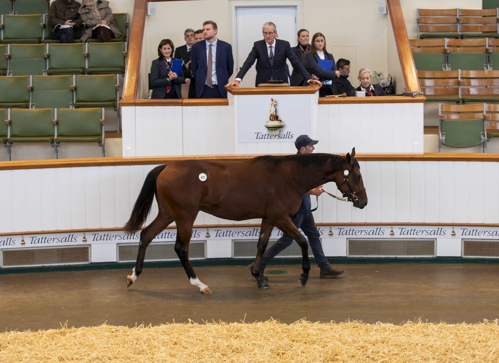 Sweet sixteen for seven-figure lots at Tatts