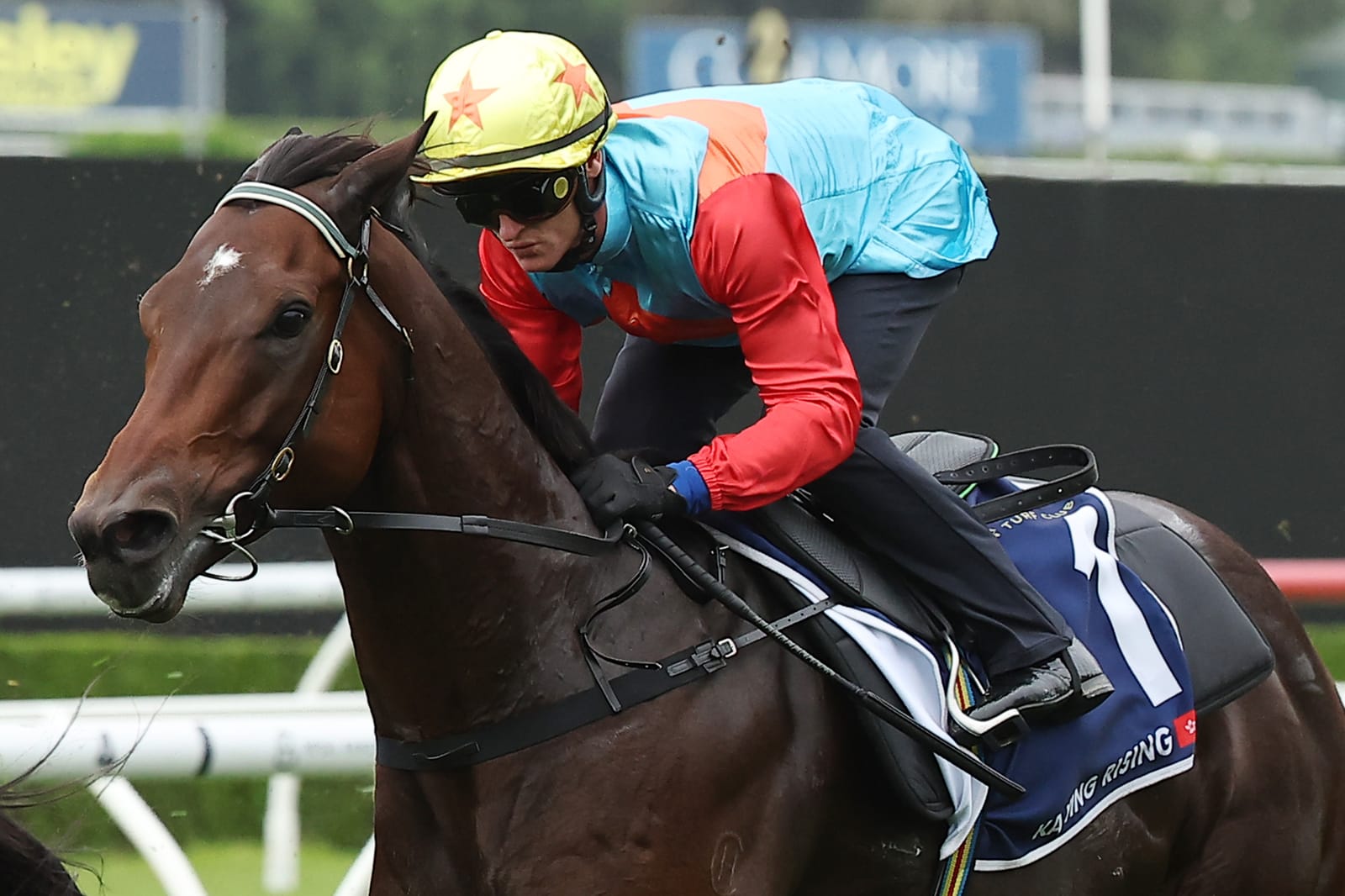 Trial and error - Purton, Hayes say improvement to come from ‘agitated’ Ka Ying Rising