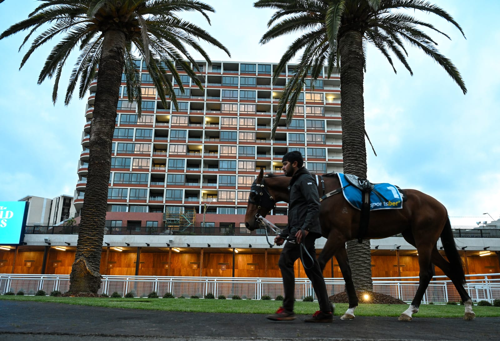 A genetic guide to the Guineas - why Autumn Boy can shine on a spring stage