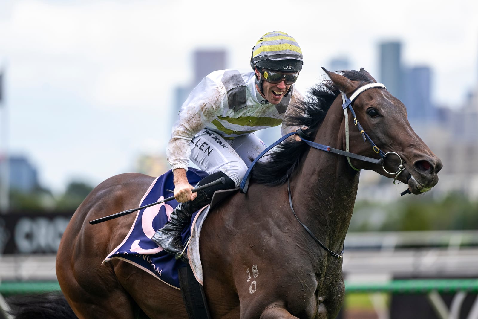 ‘It’s not an alien position to find ourselves in’ - Skybird ruled out of The Everest