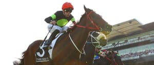 Average Australian prizemoney hits $50,000