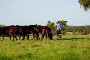 An overnight success – 50 years in the making