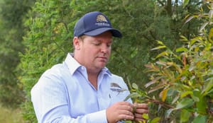 The green breeder - Three Bridges' fresh approach