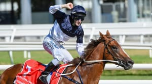 Affordability and opportunity underpins  growth in Classic Sale