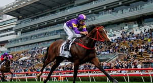 Classic Hong Kong success continues a purple patch for Toronado