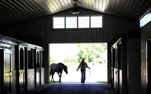 2024 Stallion Fees - Latest