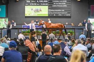 Boom or bubble – Will Australia’s bullish broodmare market bust?