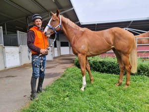 How Wordsmith rewrote the course of Tassie racing