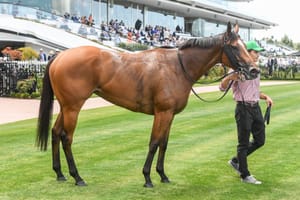 Tracked - The Saturday Racing Review - June 22