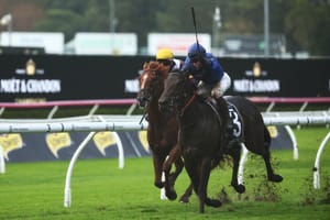 Tracked - The Saturday Racing Review - June 15