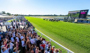 Hitting the slot – Australasia’s pop-up race obsession