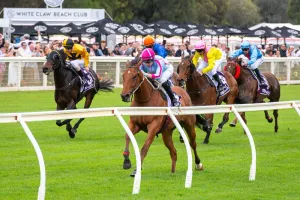 Winterbottom wonder - the breeder behind the rise of WA’s next sprinting star