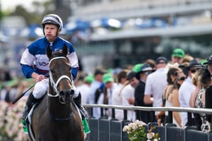 Straight Shorts - Thursday March 27 - Atishu for MM National Broodmare Sale, busy season for Noverre, latest Straight Talk podcast, Te Akau runners dominate Sires'