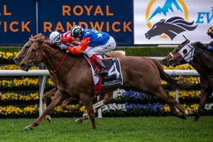 Straight Shorts - Tuesday March 18 - Farewell Bella, I Am Me to Chairman's, favourites draw in Slipper, Zoustar filly top in Adelaide
