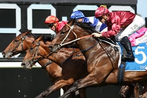 Straight Shorts - Friday March 21 - Slipper runner in fitness test, Save Rosehill ramps up campaign, Entain prepares for court battle