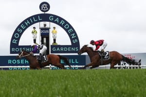 Racing NSW orders ATC to delay Rosehill vote