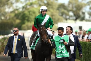 Run The Numbers – Slipper Show part of a Dancing double